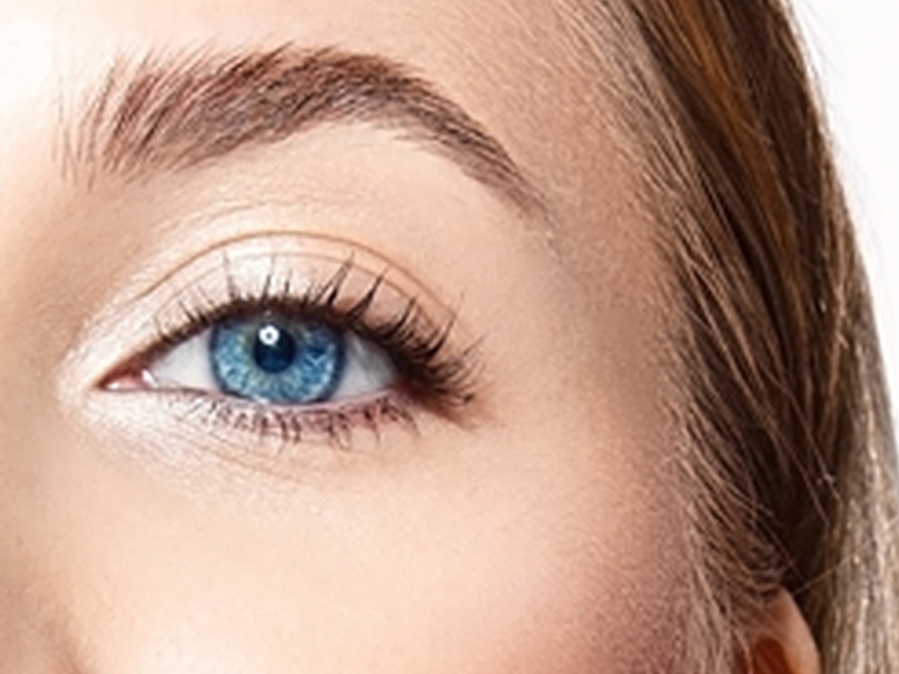 Wimpern & Brauen